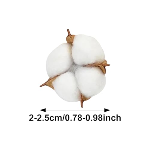 10 piezas de algodón seco artificial para decoración y manualidades miniatura 2