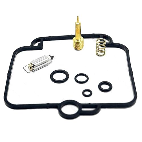 Kit réparation carburateur Triumph pour fuite essence et ratés moteur