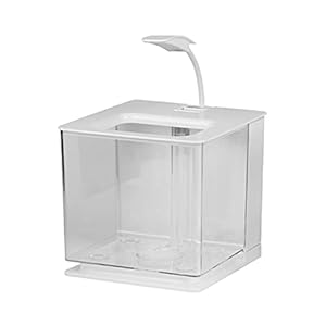 ZHANGJINYISHOP2016 Vis Tank Desktop Creatieve Vis Tank Led Licht Kleine Goudvis Vechten Vis Tank Zonder Water…