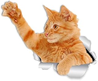 Winston & Bear Playing Orange Cat Wall Decals - 2 Pack - Ginger Cat Toilet Sticker  3D Cat Car Window and Bumper Sticker - Retail Packaged Ginger Cat Lover Gifts