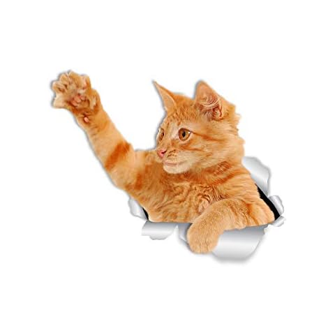 Winston & Bear Orange Cat Wall Decals - 2 Pack Cover