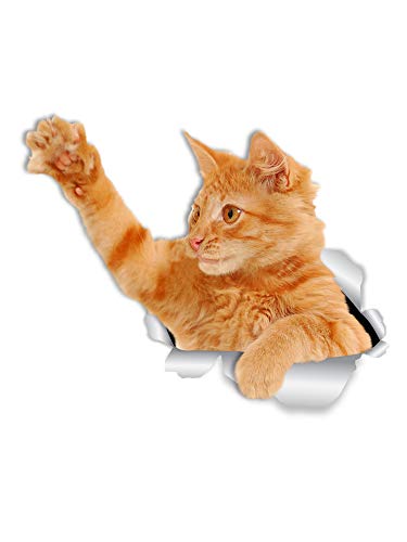 Winston & Bear Playing Orange Cat Wall Decals - 2 Pack - Ginger Cat Toilet Sticker - 3D Car Window and Bumper Sticker - Retail Packaged Lover Gifts