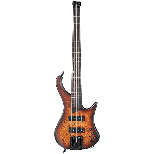 Ibanez Ergonomic Headless 5-String Electric Bass Guitar (Right-Hand, Dragon Eye Burst Flat)