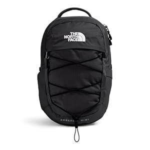 THE NORTH FACE Borealis MINI Backpack