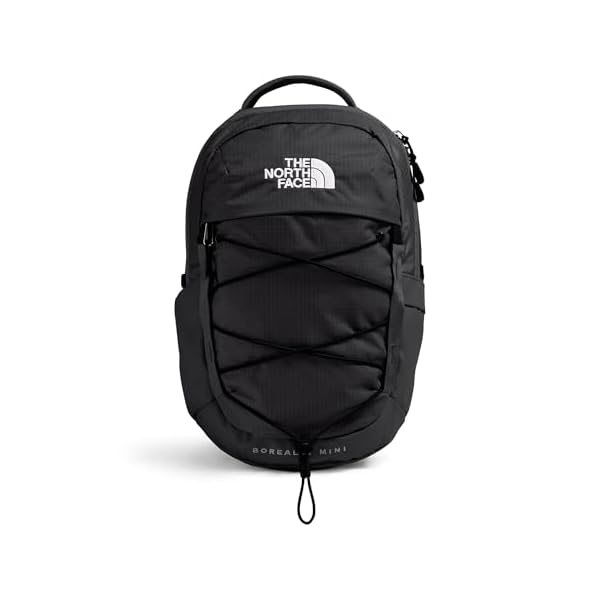 THE NORTH FACE Borealis MINI Backpack