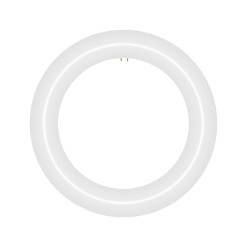 NYLL 8 inch T9 Circline Type A Plug & Play LED Lamp, Daylight (6000K) Direct Replacement for 22W FC8T9/D (Without Rewiring or Modification) Ballast Required!