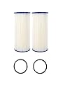 CFS COMPLETE FILTRATION SERVICES EST.2006 FXHSC 10" x 4.5" Whole House Water Filter, Compatible with GE FXHSC, R50-BBSA, R50-BB and WFHDC3001, American Plumber W50PEHD, GXWH40L (Pack of 2)