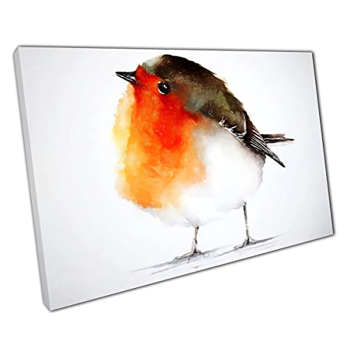 Red Robin Cute Bird painting print Canvas Wall Art print on canvas Picture for Home Office Decor 30x20cm (12x8In)