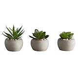 47th & Main Artificial Mini Succulent Plant...