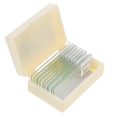 CHILDWEET 1 Set Glass Slide Micrometer Slide Biology Specimen Sample Zoa Sample Slides for Microscope Stereo Microscope Slide Microscope Slides Microscope for Object Slides Animals