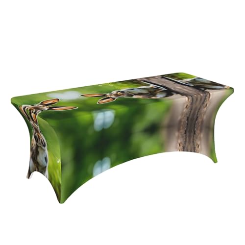 Nappe élasthanne 1,8m extensible et infroissable motif lapin pour buffet