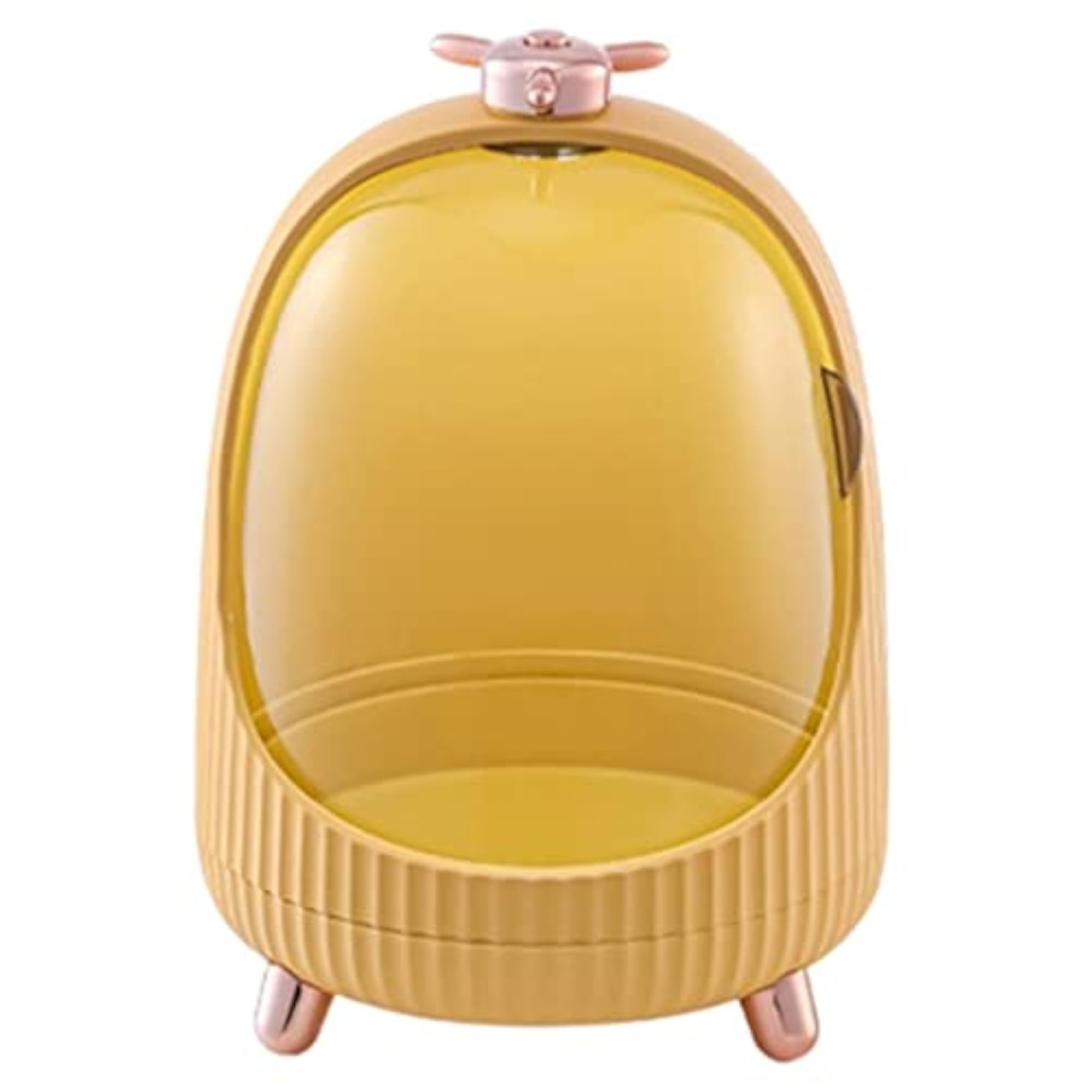 Dustproof Makeup Container with LED Light