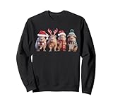 Funny Santa Capybara Christmas Lights Xmas