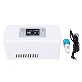 Tragbarer Insulinkühler Kühlbox LCD-Display Insulinkühler Fall Tragbares Reefer-Auto Kleiner Kühlschrank Mini-Kühlboxen Tragbarer Arzneimittel-Reefer
