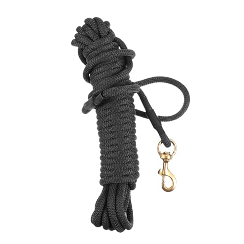 Abaodam 10 Durable Dog Leash Thick Wear Resistant for Training Outdoor Walking Suitable for Large Breeds Like Retrievers
