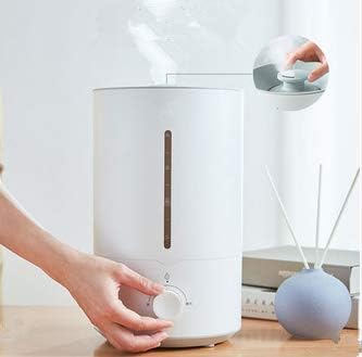 KingGo Large Atomizer, Heavy Fog, Humidifying and Purifying Air, Mute Bedroom Air Conditioning Small Humidifier