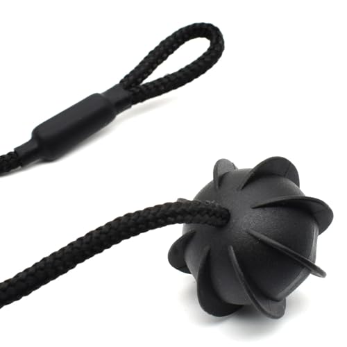 Sangles de Plage Arrière Cassées Skoda Octavia Mk2 Solution Fixation 1Z