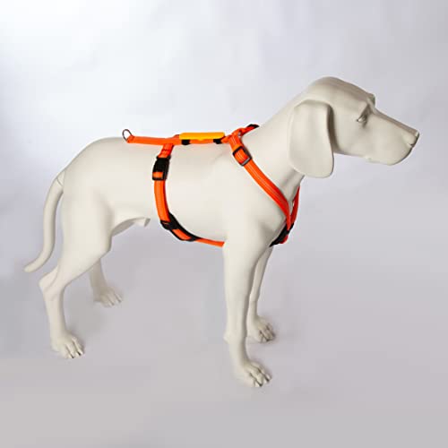 Feltmann Hundegeschirr Mantrailing/Suchgeschirr Profi -Super Soft, Neonorange, reflektierend, Bauchumfang 60-80 cm, 25 mm Bandbreite