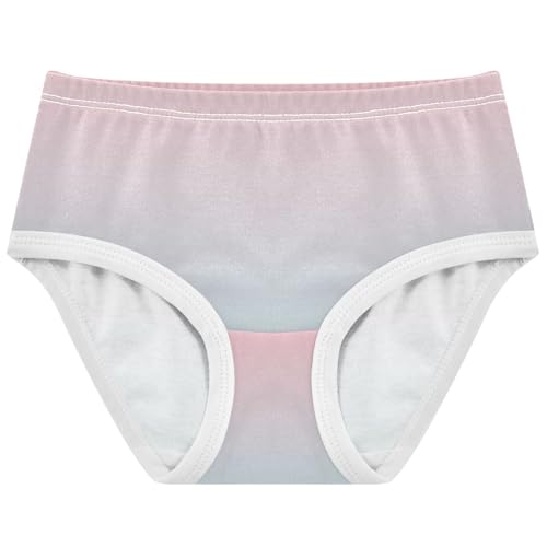 Joisal Blush Pink Blue Gradient Panties for Girl Toddler Girls Underwear Cotton Personalized Kids Undies Briefs 2t