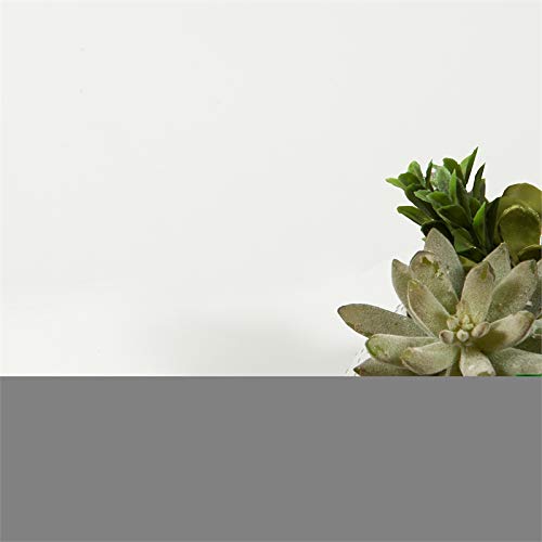 La Mejor review de Muebles tvilum comprados en linea. 6 Imagen adicional