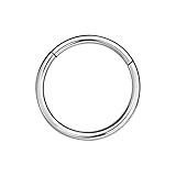 NAVZA Surgical Steel Nose Rings- Nose Hinged Hoops for Men and Women - Body Piercing Jewelry Earrings Lip Rings 6mm-7mm-8mm-9mm-10mm (Silver 18g, 8mm)