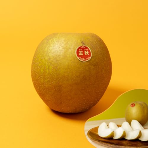 挧 H uh 6ʁ`10 5kg   イ ƂƂ Mtg ʕ 蕨 v[g { t[c  Ȃ iV Ԍ Ε j v[g a p  ʏ` 傫  ~̑蕨 