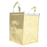 SOLUSTRE Isolierte Tote Bag Champagnergold Wiederverwendbar Große Kapazität Faltbar für Kuchen Eiscreme Obst Getränke Snacks mit Kühlakku Leicht zu Reinigen Handlich