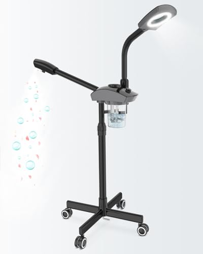 Kingsteam Facial Steamer & Magnifying Lamp Combo