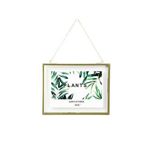 Cadre photo en verre doré à suspendre, cadre flottant en métal, cadre photo flottant avec fermeture à médaillon, cadre horizontal 10.2 x 15.2 cm ou 12.7 x 17.8 cm, art, ornement de plantes avec clip