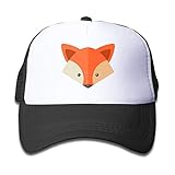 OASCUVER Boys Classic Fox Mesh Hat Toddler Baseball Cap Kid Printing Adjustable Snapback Hip Hop Flat Hats (Classic Fox, One Size)