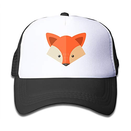 OASCUVER Boys Classic Fox Mesh Hat Toddler Baseball Cap Kid Printing Adjustable Snapback Hip Hop Flat Hats (Classic Fox, One Size)