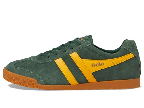 Image of Gola Harrier