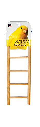 Prevue Pet Products 480623 Bpv383 Birdie Basics 5-Step Wooden Ladder cover