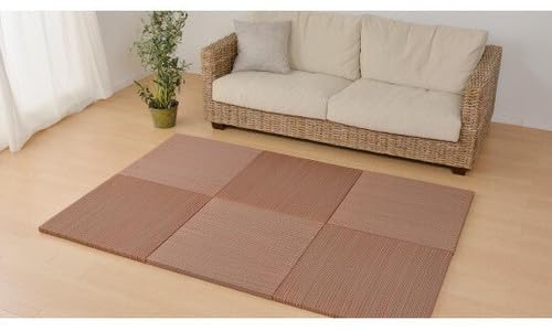 J[̑Iׂyʒu э 6Zbg 65×65×2.5cm bh