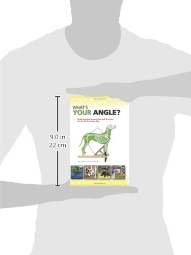 What's Your Angle: Understanding Angulation and Structure for the Performance Dog - Image 3
