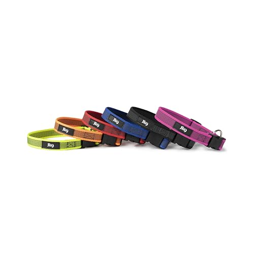 JULIUS K-9 220CG-PN Color & Gray Halsband, 20mm*27-42 cm, verstellbar, pink-grau, 20 mm (27-42 cm)