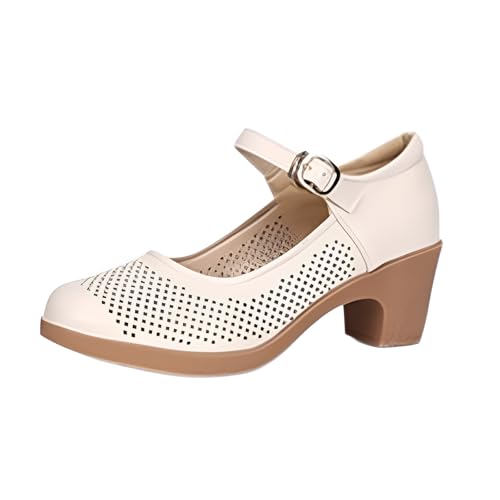 [POZEAL] XNGA_XV[Y _XV[Y p bV ʋC _炩 ؒ l x₷ oG e_X 35-42 tďH