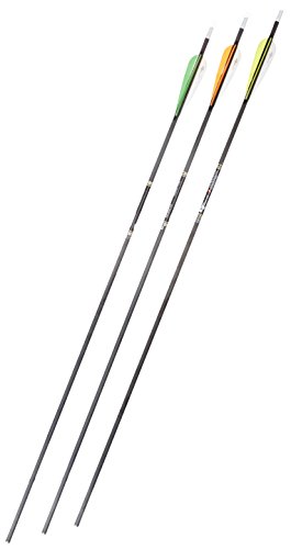 Gold Tip Ultralight Entrada 300 Arrows with 4-Inch Vanes (72 Count)