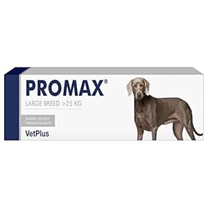 Promax Nutritional Supplement for Large Dogs 30ml Syringe