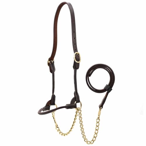 Harnais en cuir pré-huilé Jeffers avec muserolle et chaîne en laiton pour bétail
