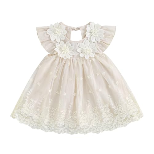 Image of Toddler Baby Girl Princess Dress Fly Sleeve Lace Tulle Dresses Infant Summer Clothes Outfits (Khaki, 18-24 Months)