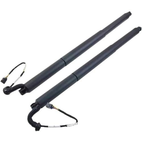 Support levage hayon électrique pour réparer coffre affaissé de Kombi 3V5