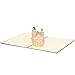 Paper Spiritz Pop up Neuschwanstein Castle Cards for Birthday, Christmas Gift Cards, Handmade Graduation Sympathy Blank Card, Thanksgiving Gift Card with Envelopes All Occasions (3053R)
