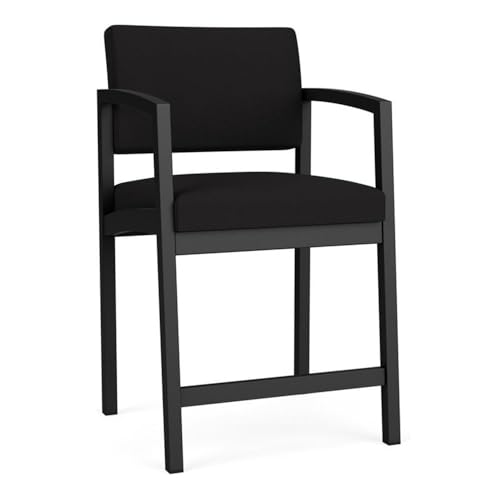 Lesro Lenox Steel Modern Fabric Hip Chair in Black/Open House Black