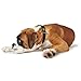 HUNTER VARIO BASIC Hundehalsung, Hundehalsband, robust, geschmeidig, Klickverschluss, M/1,5, schwarz