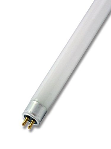F8 W/T5/29 30,5 cm 8 W fluorescente bianco caldo