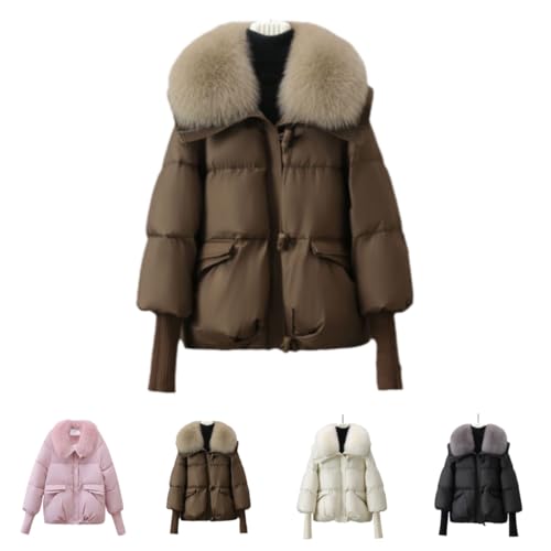 Gtzbciv_ER[g fB[X _EWPbg fB[XR[g R[g AE^[  g  JWA  H~ h h ʊw ʋ ~ (R[q[F,XL)