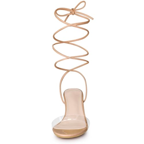 Allegra K Women's Clear Strap Lace Up Stiletto Heels Nude Sandals 8 M US