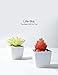 Veryhome Fake Suculentas Plantas Artificiales En Macetas En Mini Macetas Cuadradas Blancas...