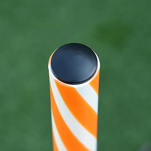 Pawhut 6 Piece Dog Agility Training Equipment With Hurdle Bag And Whistle, Orange And White #TOP7